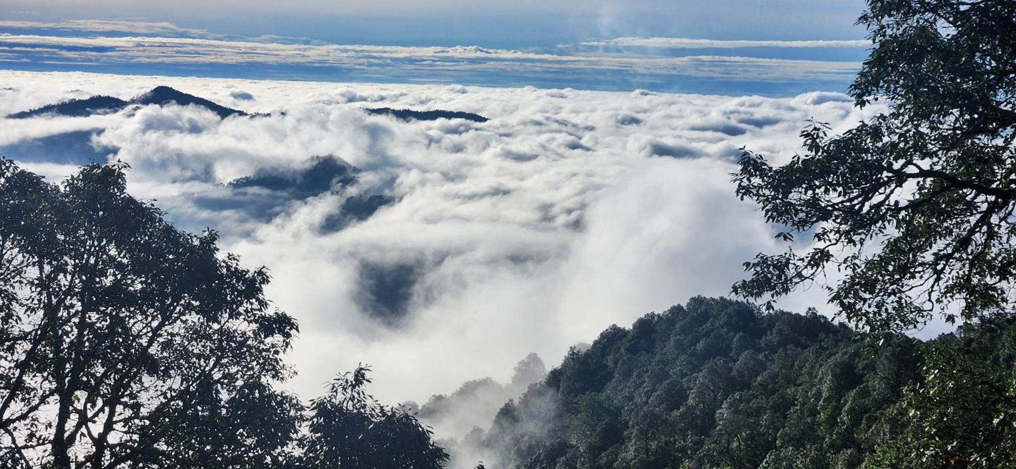 Simba Jungle Lodge, Binsar Wildlife Sanctuary Kültér fotó