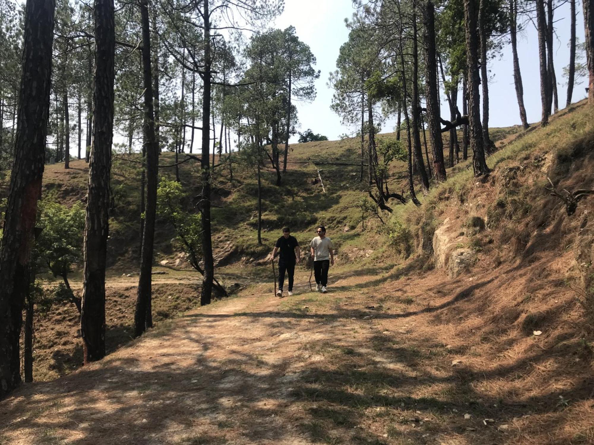 Simba Jungle Lodge, Binsar Wildlife Sanctuary Kültér fotó