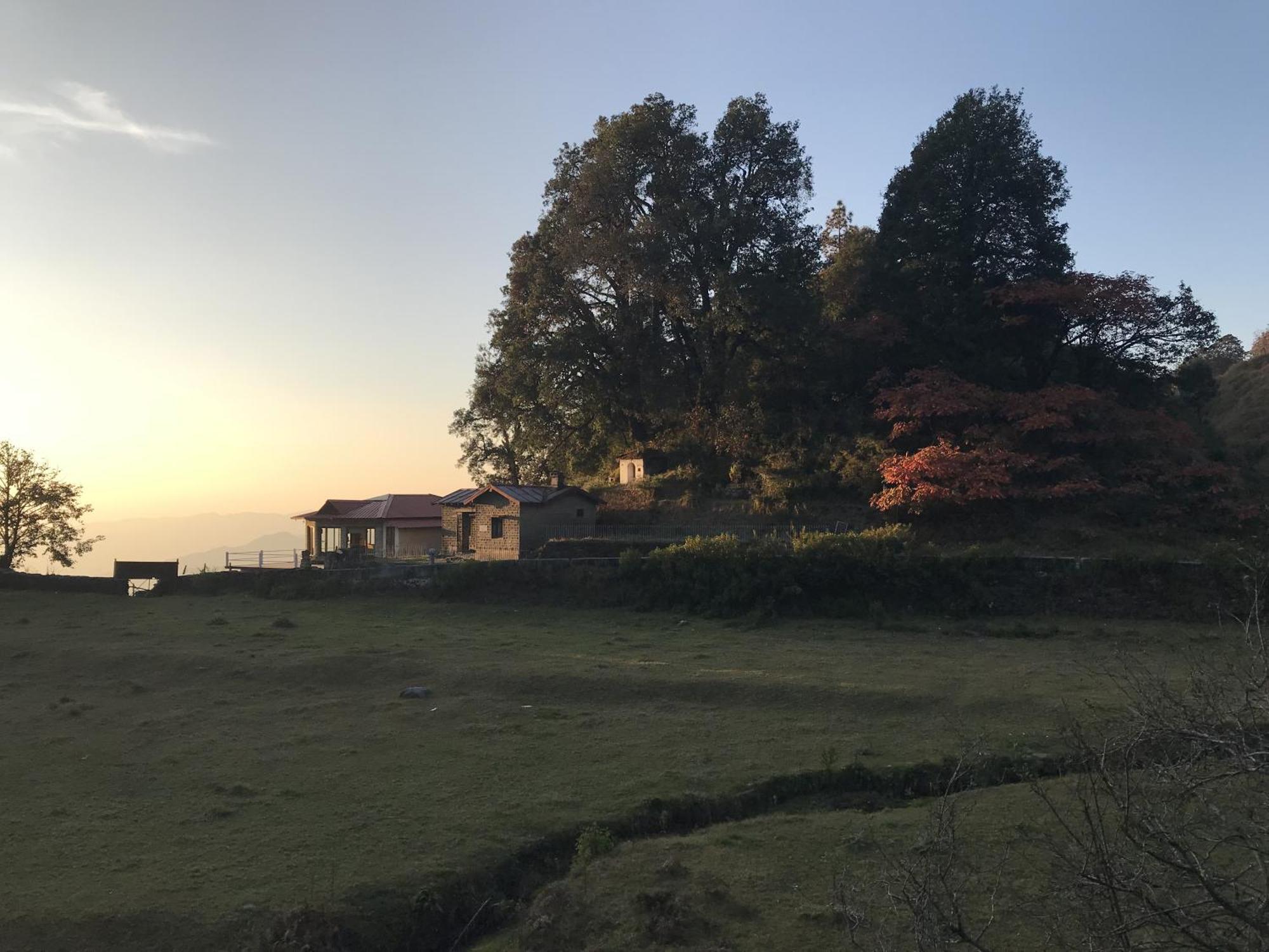 Simba Jungle Lodge, Binsar Wildlife Sanctuary Kültér fotó