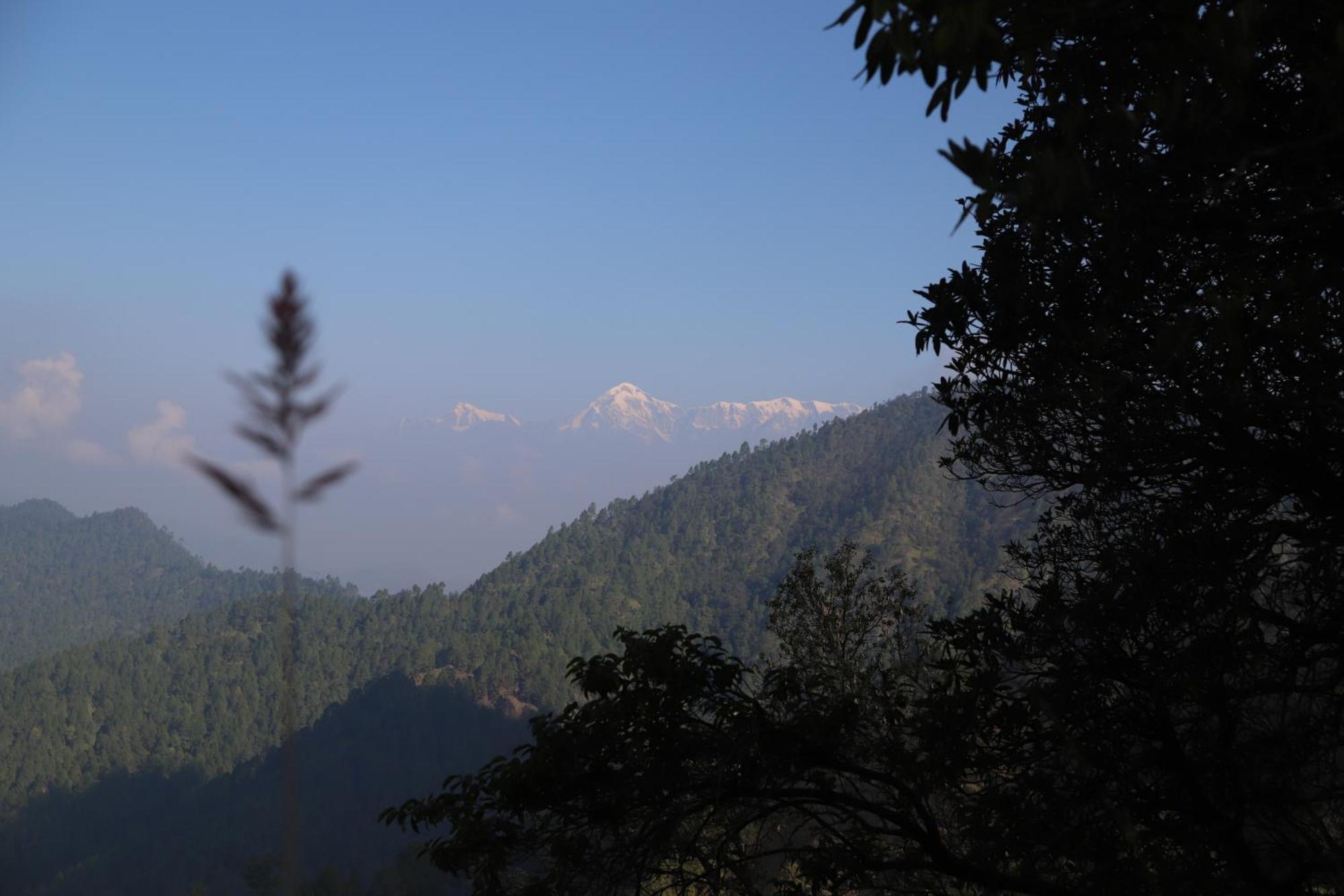 Simba Jungle Lodge, Binsar Wildlife Sanctuary Kültér fotó