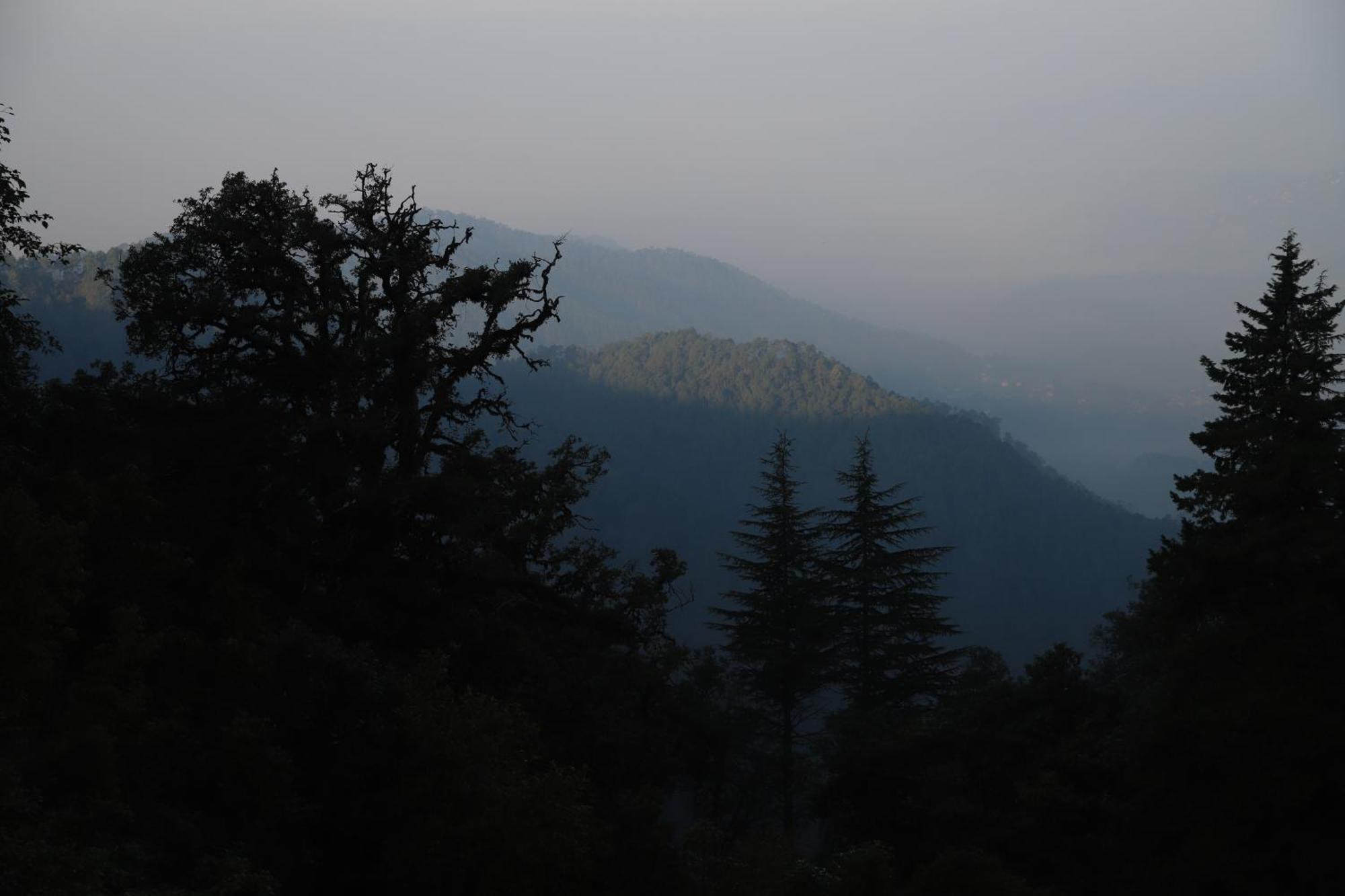 Simba Jungle Lodge, Binsar Wildlife Sanctuary Kültér fotó