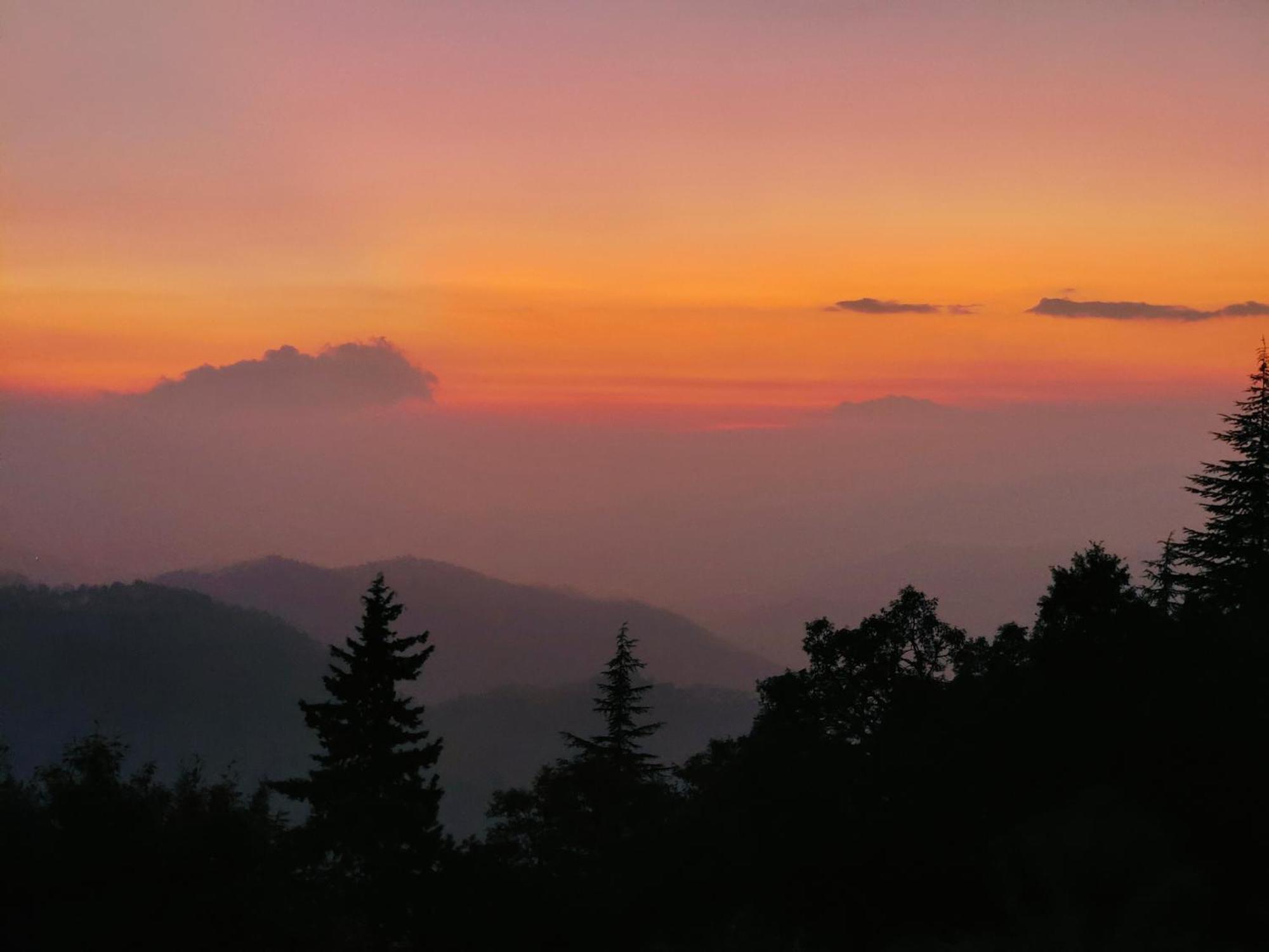 Simba Jungle Lodge, Binsar Wildlife Sanctuary Kültér fotó