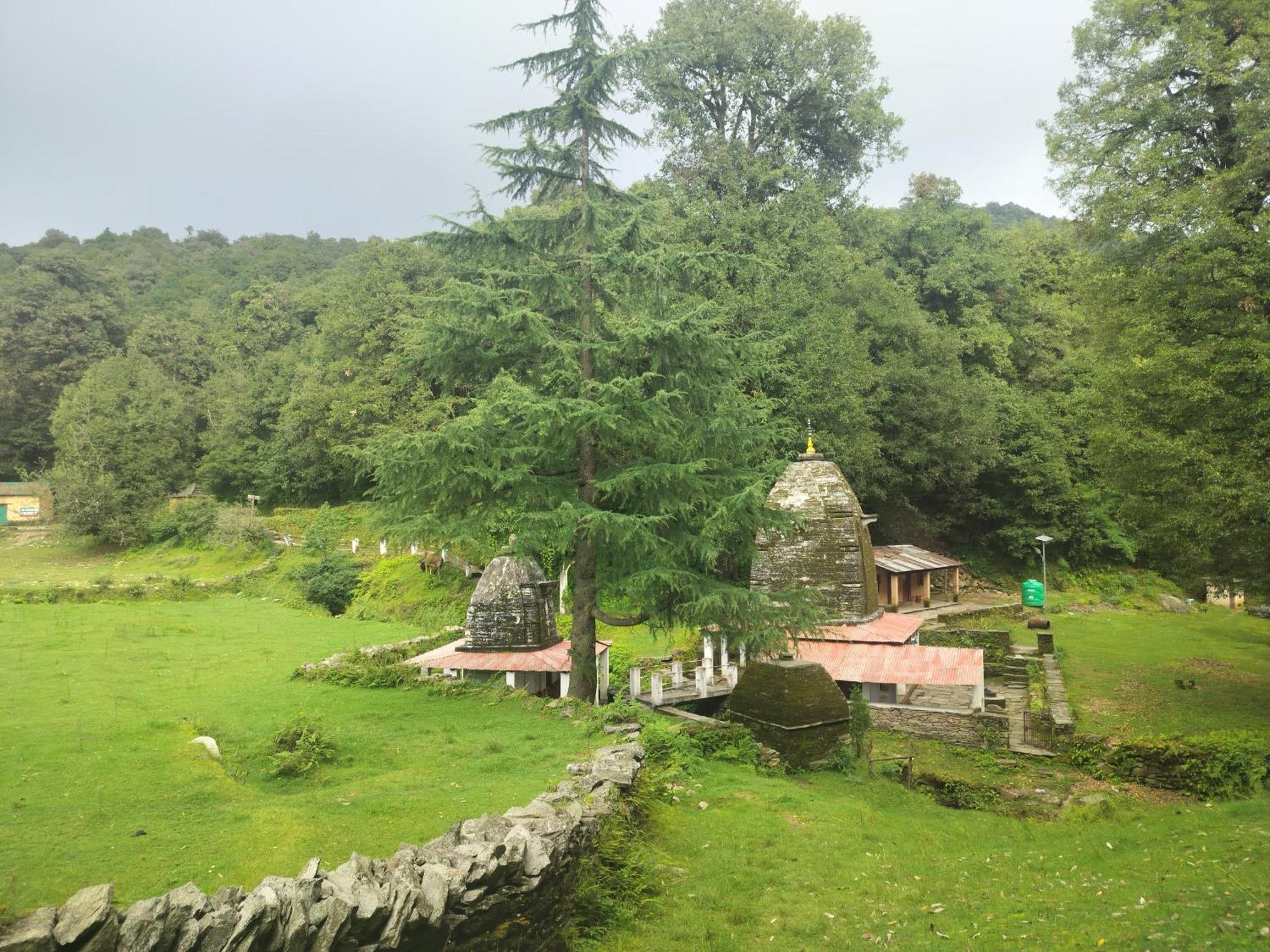 Simba Jungle Lodge, Binsar Wildlife Sanctuary Kültér fotó