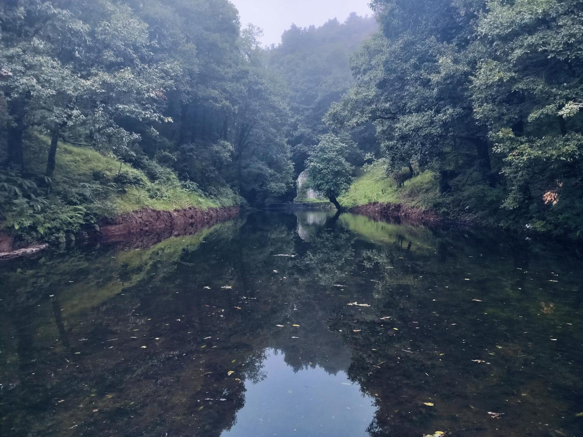 Simba Jungle Lodge, Binsar Wildlife Sanctuary Kültér fotó